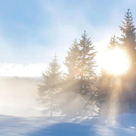 Flat ゼーフェルト・イン・チロル