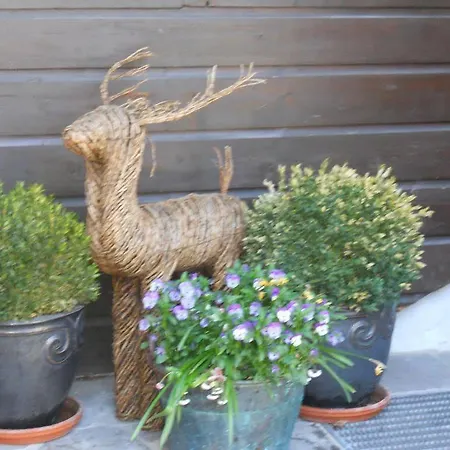 Flat Hotel Seefeld in Tirol