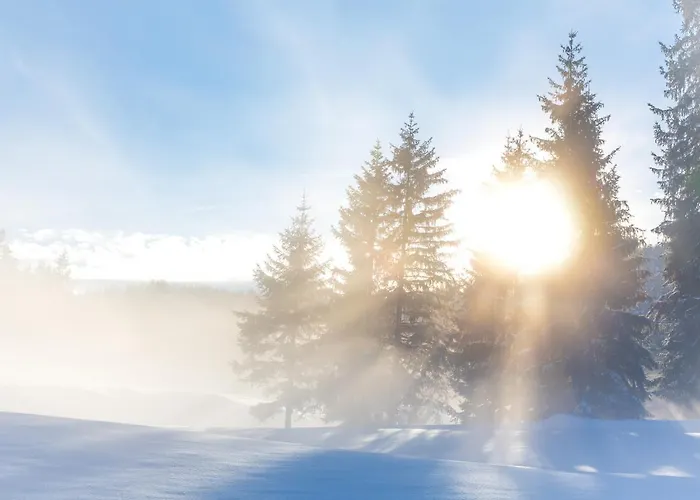 Flat 蒂罗尔-泽费尔德